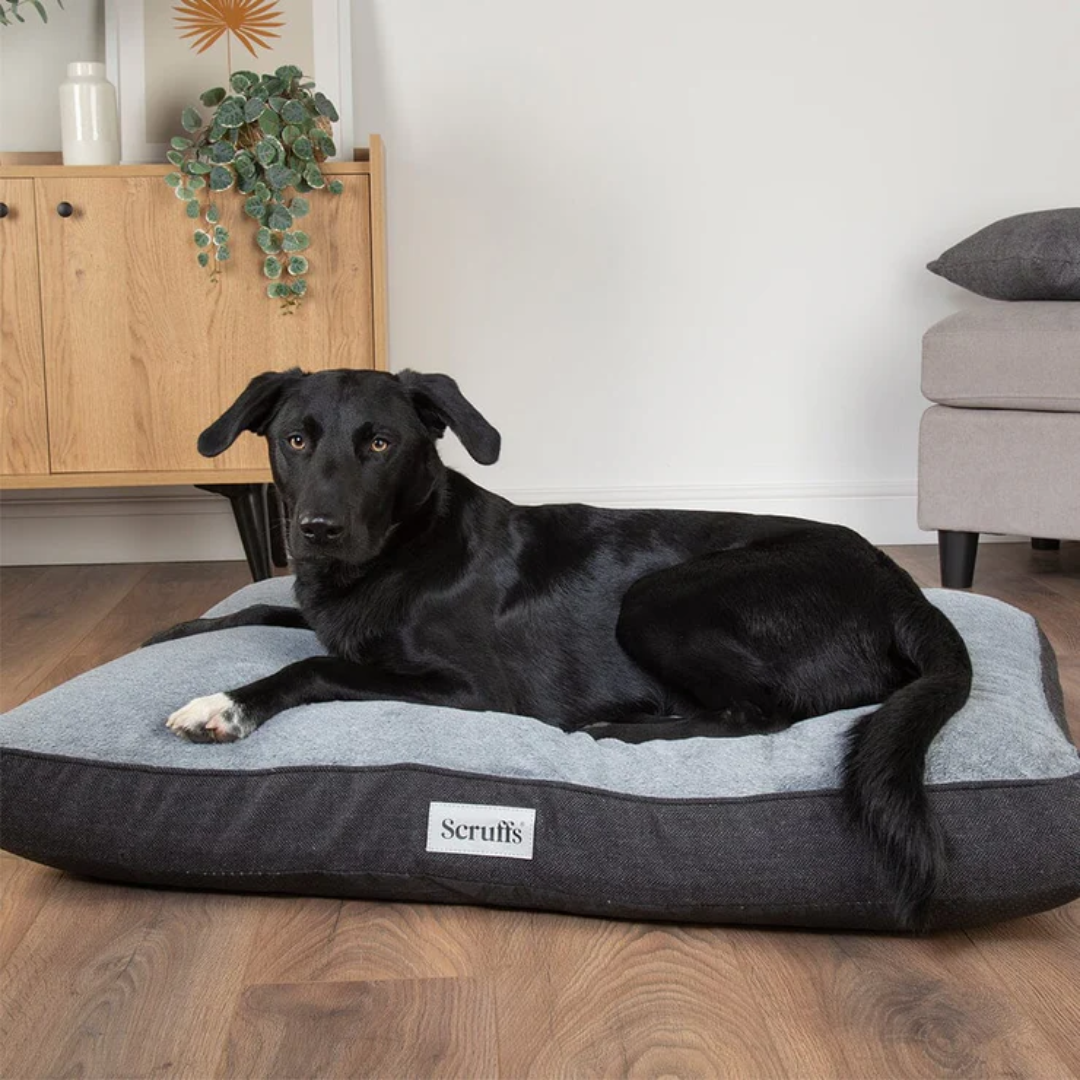 Black dog laying on a grey Scruffs Harvard Memory Foam Mattress