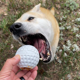 Dog being handed a Sodapup Gold Ball filled with peanut butter.