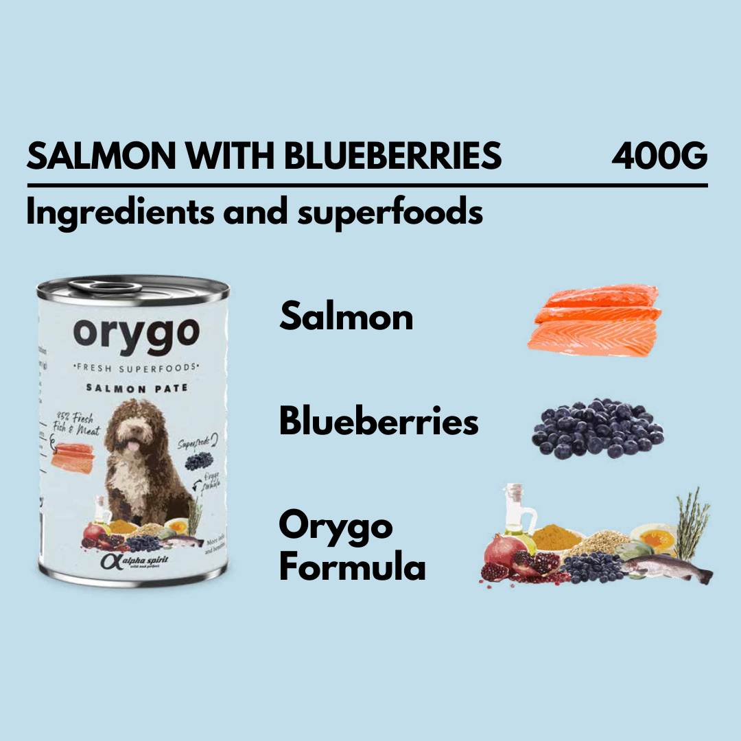 Salmon with Blueberries wet dog food pate from Orygo.