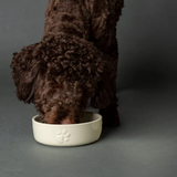 Scruffs Icon Ceramic Pet Food Bowl