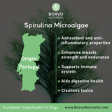 Spirulina platensis for Dogs - Borvo Nutrients