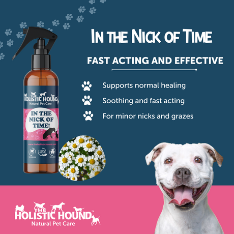 Holistic Hound In the Nick of Time Fast Acting spray for healing, and a white staffie.