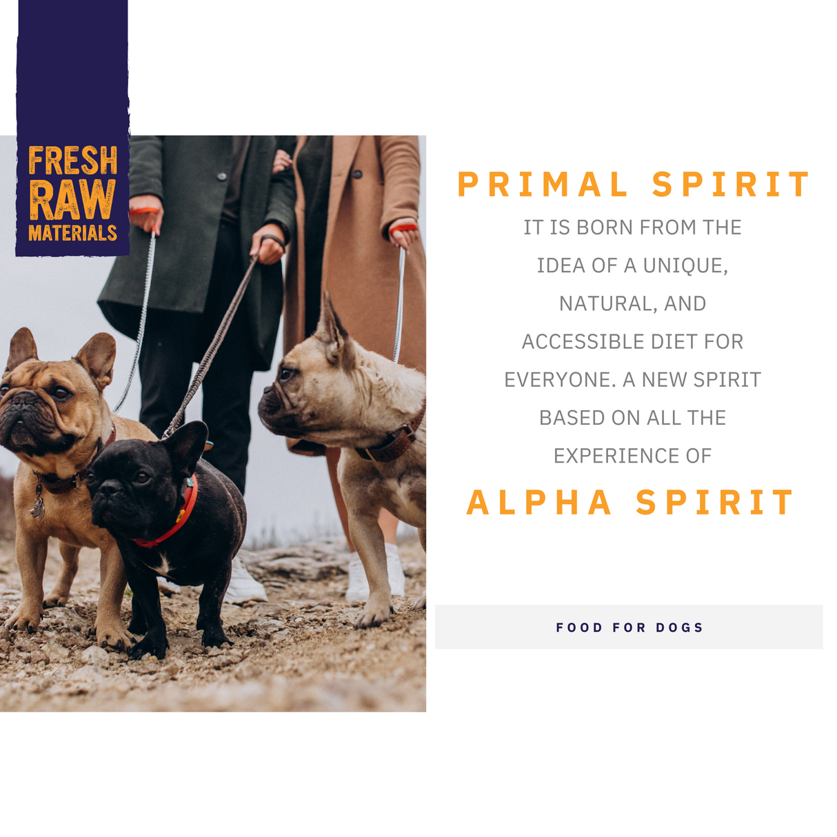 Primal Spirit, Alpha Spirit