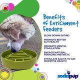 Benefits of Sodapup Enrichment Slow Feeders for Dogs