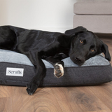 Black retriever dog laying on the scruffs orthopedic dog bed.