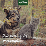 A dog and cat sitting by a tree log with text saying "Support of the immune system".