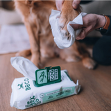 A dog's paw being wiped with Beco unscented bamboo wipes for dogs.