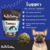 Holistic Hound Tummies Pre and Probiotic 