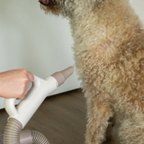 Groomers Secret Pet Hair Dryer - Blaster