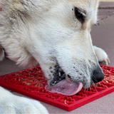 Labrador licking SodaPup Christmas Tree 'Peace' Lick Mat