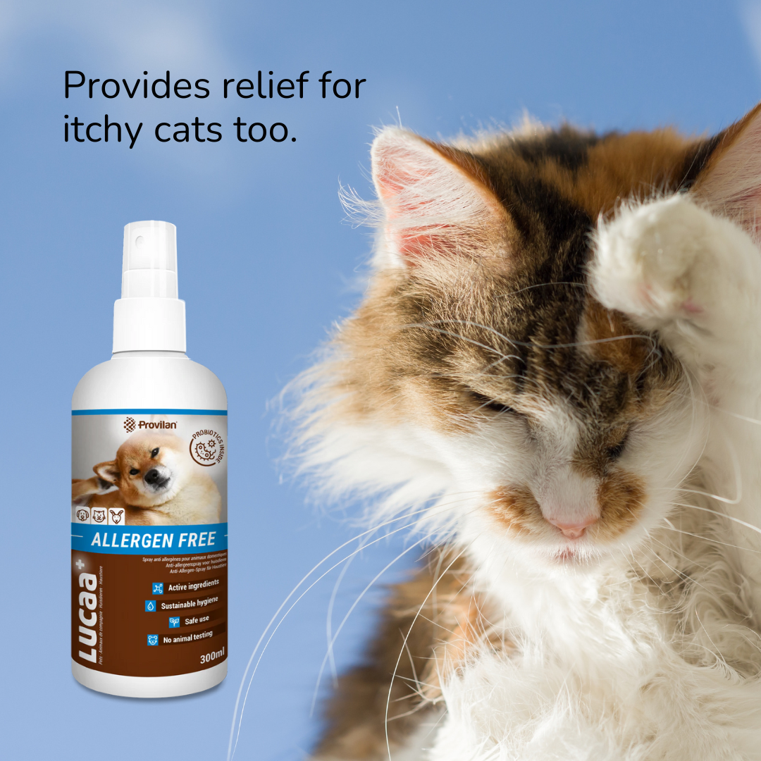 Probiotic Allergen Free Pet Spray | Provilan Lucca+