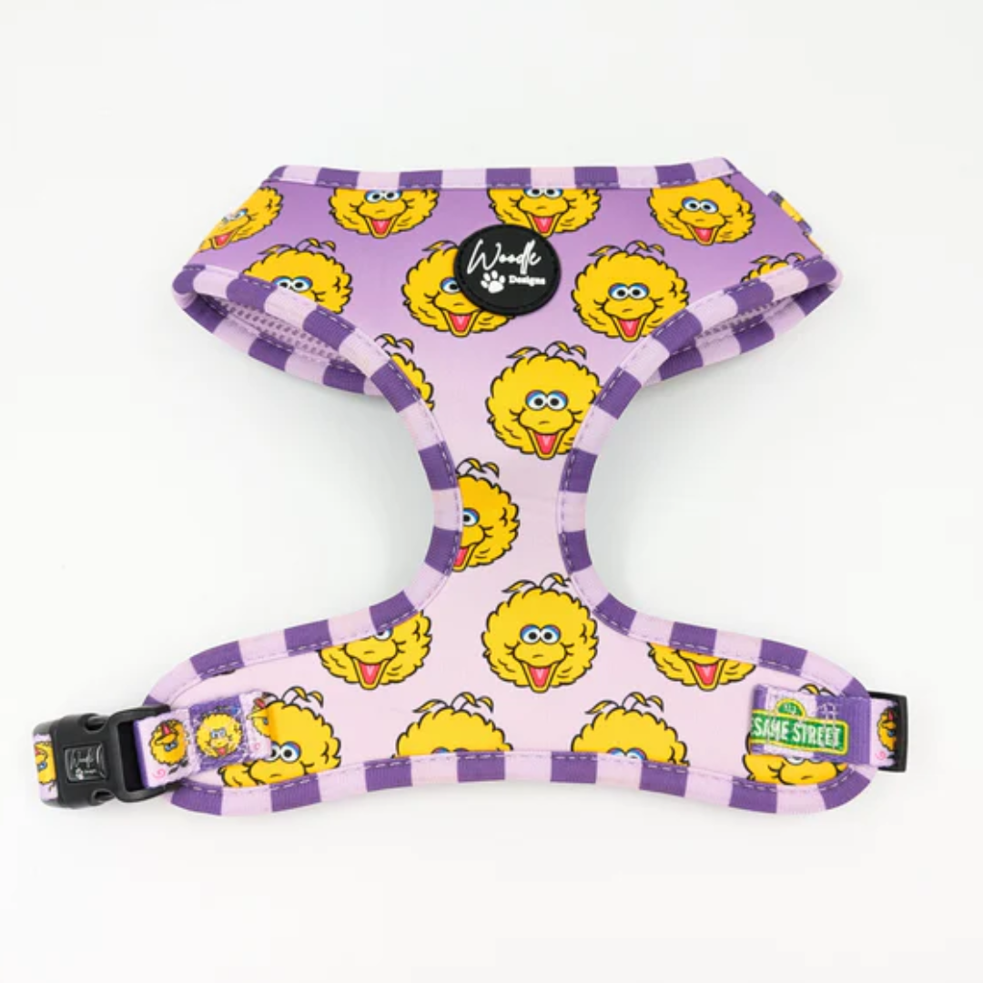 Woodle x Sesame Street Lilac Big Bird dog harness.