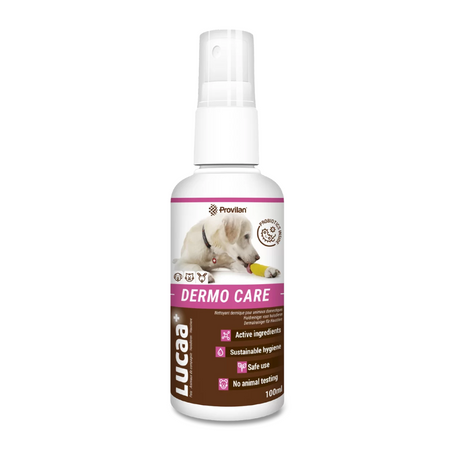 100ml bottle of Provilan Lucca Dermo Care spray, probiotic wound care for pets.