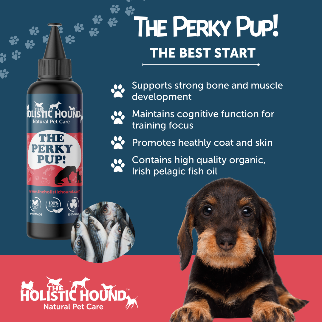 Holistic Hound The Perky Pup 500ml