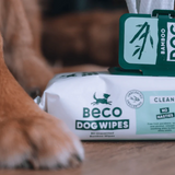 A dog's paw beside an open packet of beco bamboo wipes for dogs.