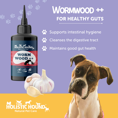 Holistic Hound Wormwood ++ (formerly Worms Away)