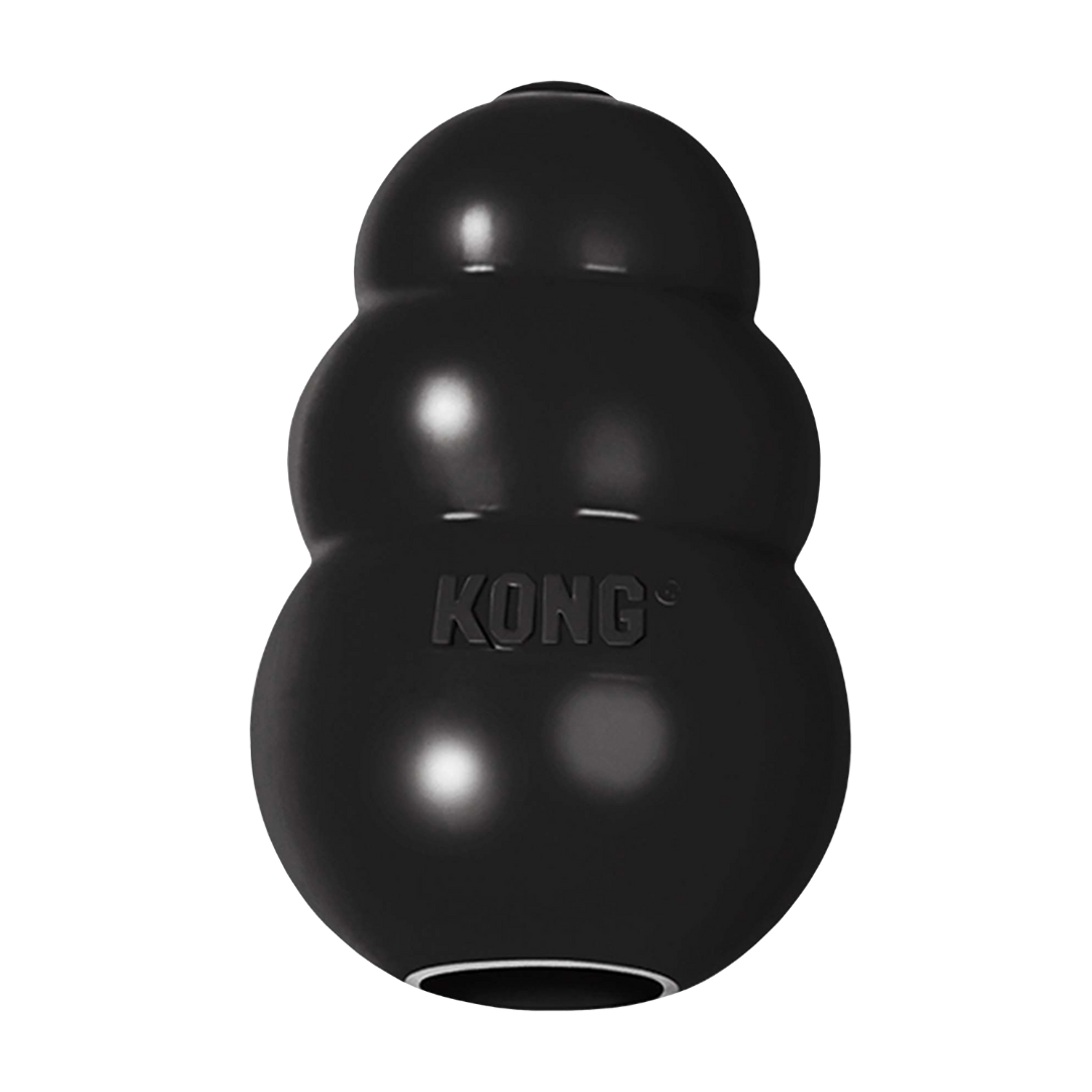 Kong extreme black dog toy.