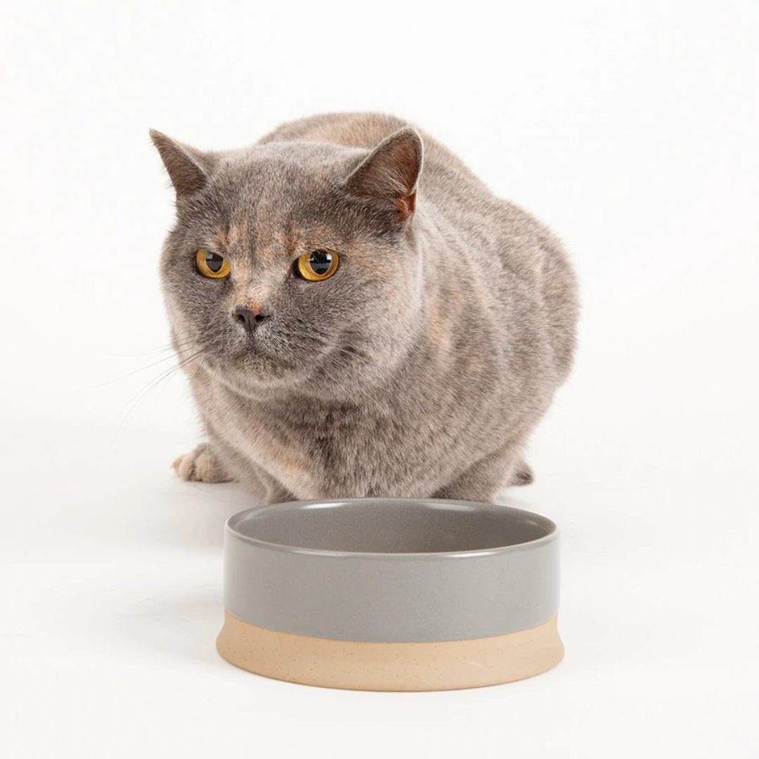 Scruffs Ceramic Non Tip Bowl - Grey