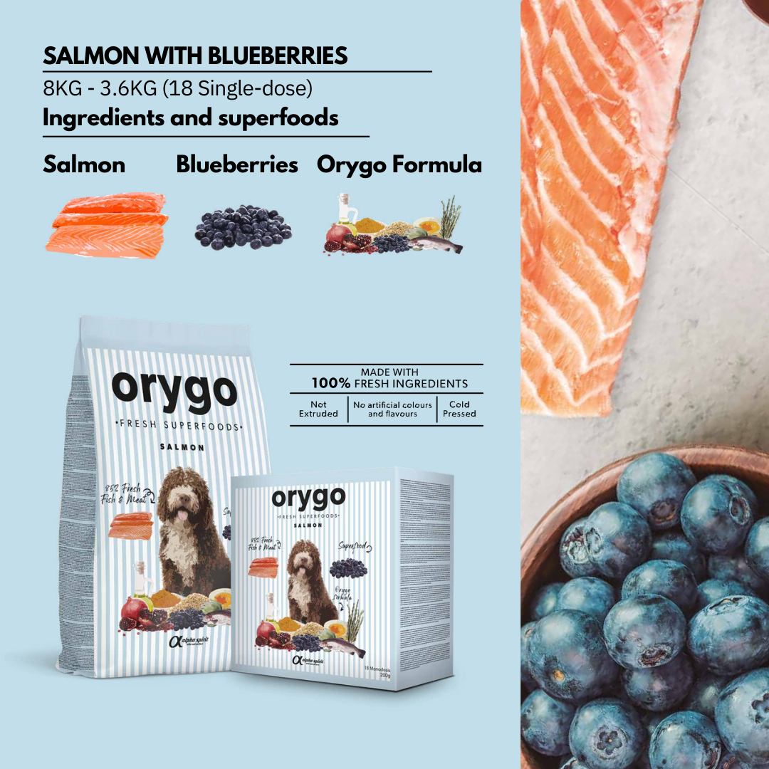 Salmon with Blueberries Orygo 