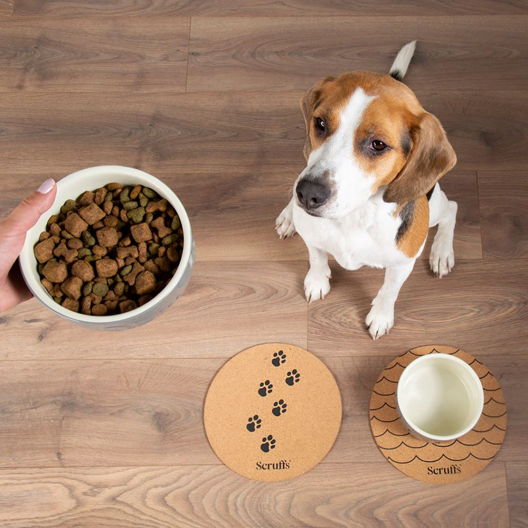 A beagle looking up at a hand holding a bowl of kibble, sitting in front of two Scruffs Cork Placemats for pets.