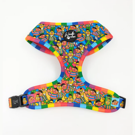 Woodle x Sesame Street Bert and Ernie harness for dogs.