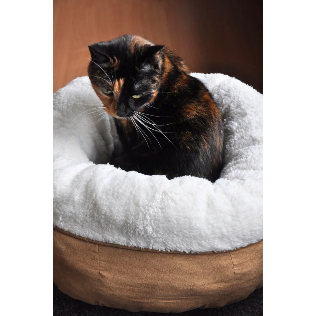 A tortoise shell cat in a beige AFP Lambswool Donut Bed