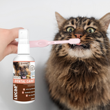 Cat licking a toothbrush and a bottle of Provilan Probiotic dental care spray for pets