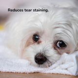 White dog with tear staining, along with the text "Reduces tear staining".