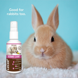 A rabbit, with a bottle of Provilan Lucca Probiotic Derma Wound Care Spray for Pets, along with text that reads "Good for Rabbits Too".