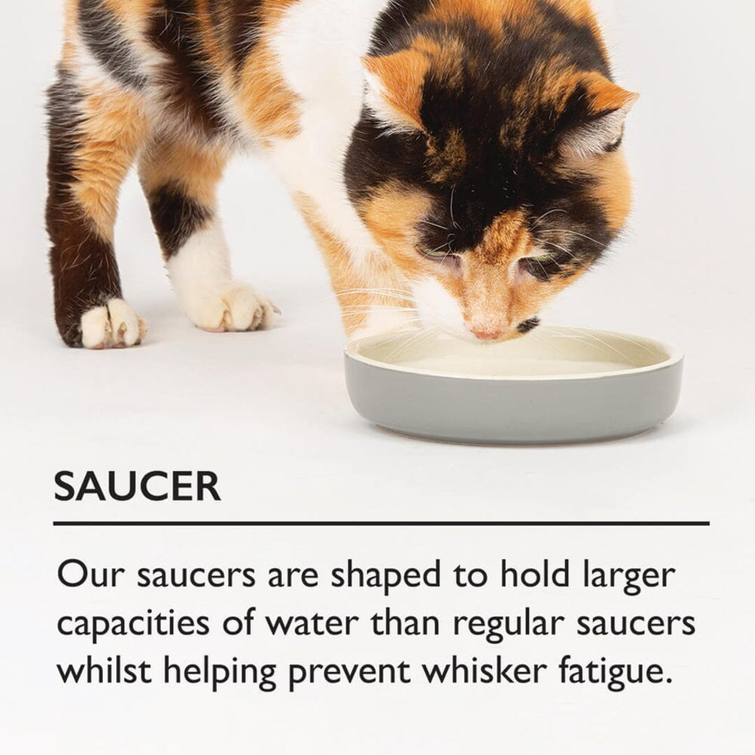 Cat drinking from a grey Scruffs Icon pet food saucer with the text "Our saucers are shaped to hold larger capacities of water than regular saucers while helping prevent whisker fatigue."