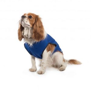 ancol 2 in 1 harness coat